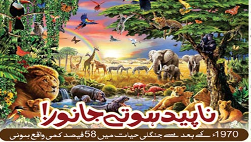 ناپید ہوتے جانور!