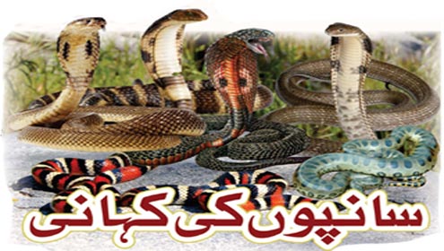سانپوں کی کہانی 