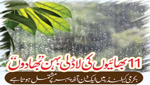 11بھائیوں کی لاڈلی بہن بھادوں