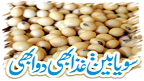 سویا بین: غذا بھی دوا بھی