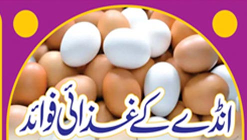 انڈے کے غذائی فوائد