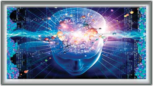 عقل بڑی یا بھینس 