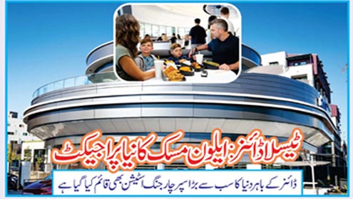 ٹیسلا ڈائنر :ایلون مسک کا نیا پراجیکٹ