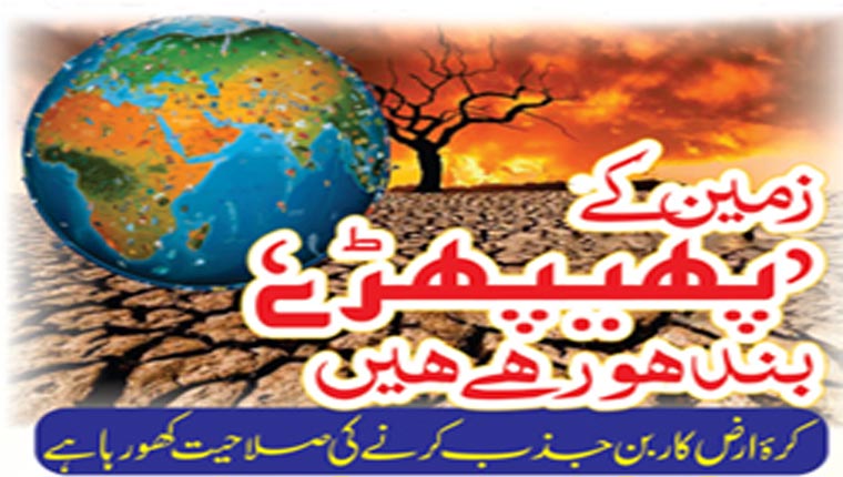 زمین کے پھیپھڑے بند ہو رہے ہیں