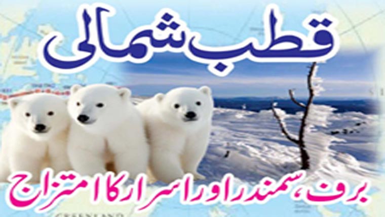  قطب شمالی برف، سمندر اور اسرار کا متزاج