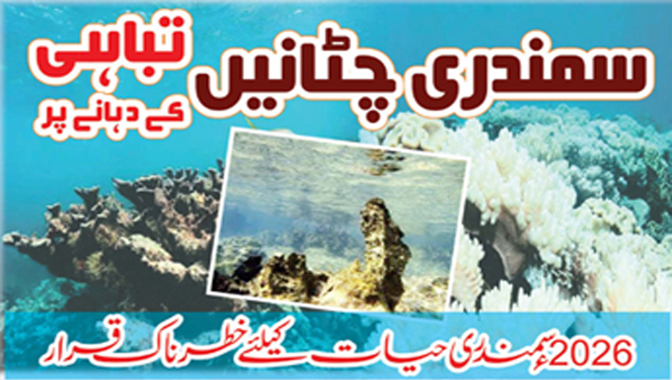 سمندری چٹانیں تباہی کے دہانے پر!