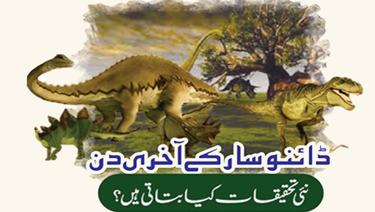 ڈائنوسار کے آخری دن:نئی تحقیقات کیا بتاتی ہیں؟
