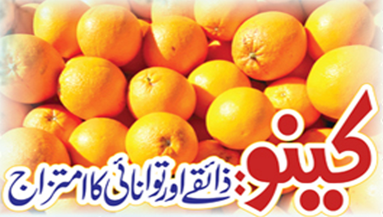 کینو: ذائقے اور توانائی کا امتراج