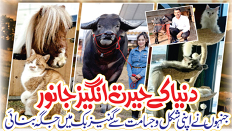 دنیا کے حیرت انگیز جانور