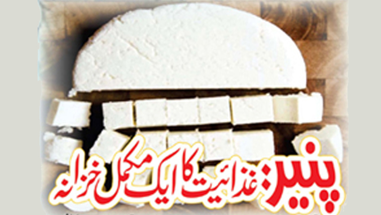 پنیر: غذائیت کا ایک مکمل خزانہ