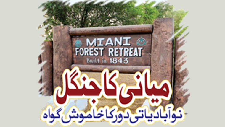 میانی کا جنگل نوآبادیاتی دور کا خاموش گواہ