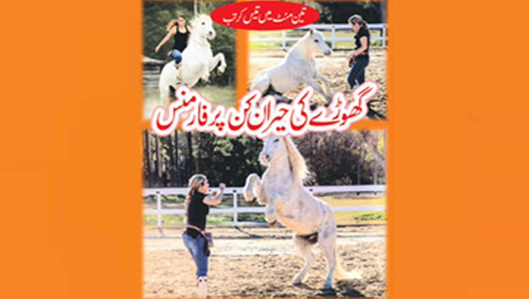 گھوڑ ے کی حیران کن پرفارمنس:تین منٹ میں تیس کرتب