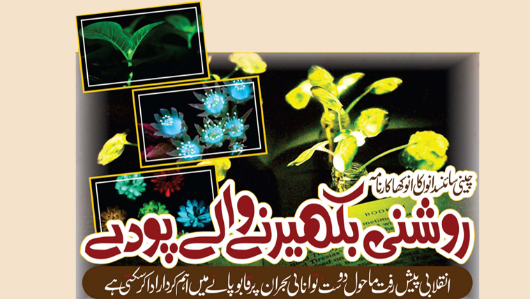 روشنی بکھیرنے والے پودے:چینی سائنسدانوں کا انوکھا کارنامہ