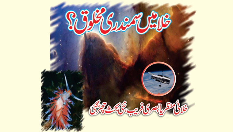 خلا میں سمندری مخلوق؟