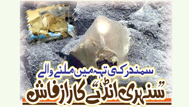 سمندر کی تہہ میں ملنے والے ’’سنہری انڈے‘‘ کا راز فاش