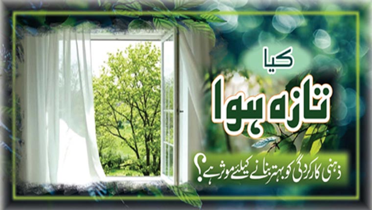 کیا تازہ ہوا ذہنی کارکردگی کو بہتر بنانے کیلئے موثر ہے ؟