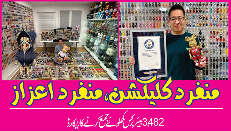 منفرد کلیکشن، منفرد اعزاز