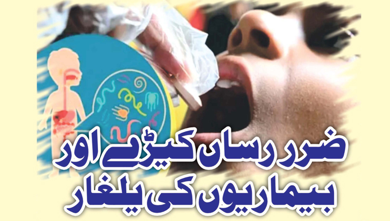 ضرر رساں کیڑے اور بیماریوں کی یلغار