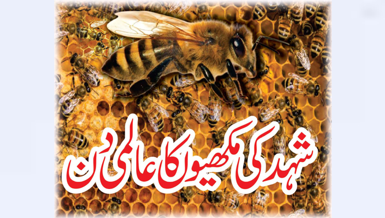  شہد کی مکھیوں کا عالمی دن