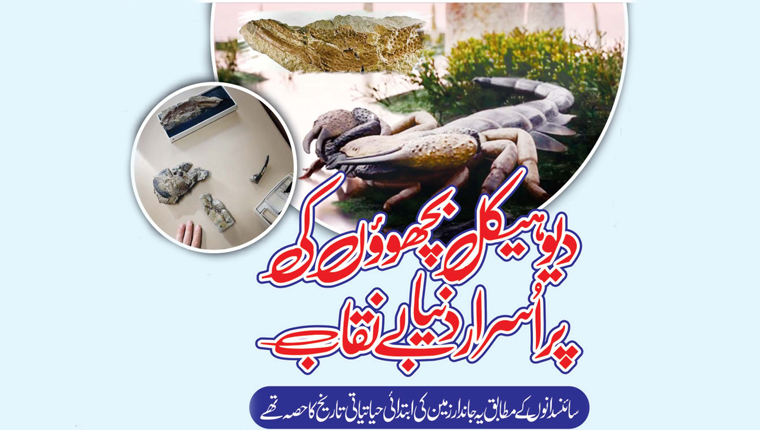 دیوہیکل بچھوؤں کی پراسرار دنیا بے نقاب