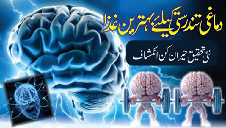 دماغی تندرستی کیلئے بہترین غذا