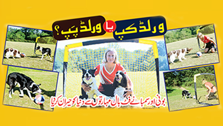 ورلڈ کپ یا ورلڈ پَپ؟ 