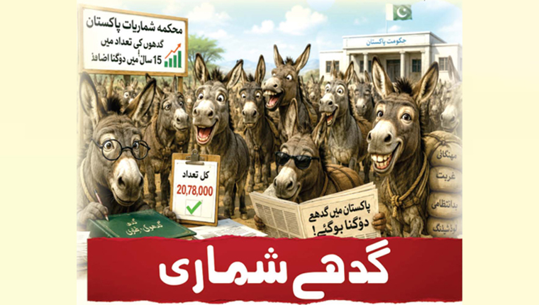  گدھے شماری