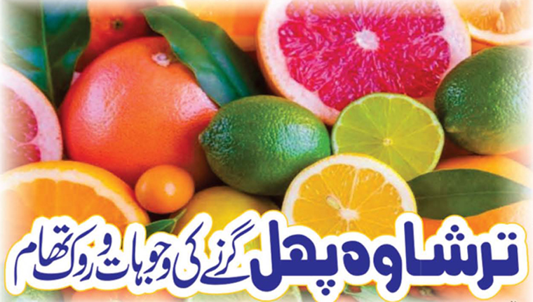 ترشاوہ پھل گرنے کی وجوہات و روک تھام