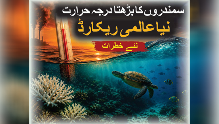 سمندروں کا بڑھتا درجہ حرارت