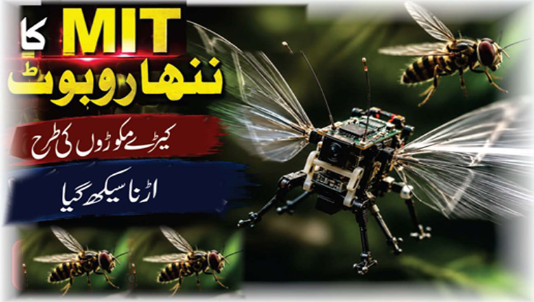 MIT کا ننھا روبوٹ 