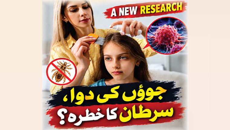 جوؤں کی دوا، سرطان کا خطرہ؟