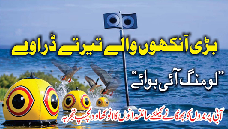 بڑی آنکھوں والے تیرتے ڈراوے ’’لومنگ آئی بوائے‘‘