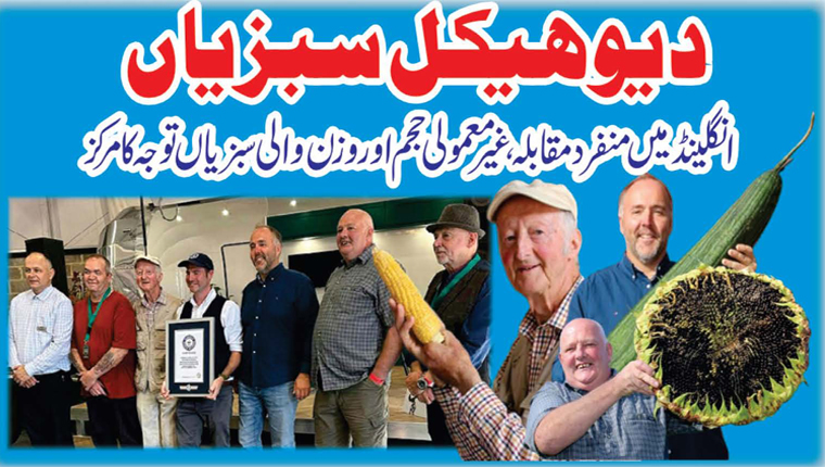 دیو ہیکل سبزیاں 