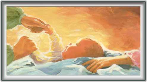 انسان کی تخلیق اور اس کے مراحل(2 )