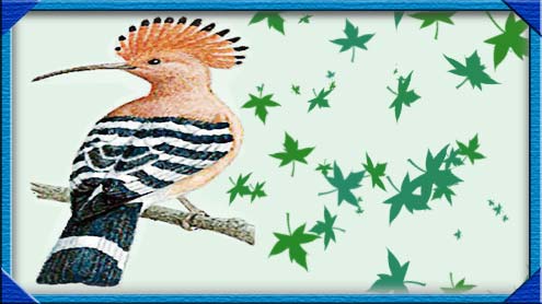 حضرت سلیمان علیہ السلام اور ہد ہد کا قصہ 