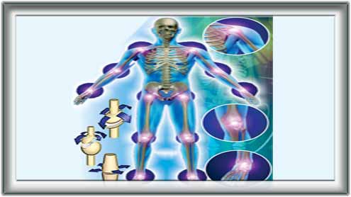 انسانی بدن کے 360جوڑ 