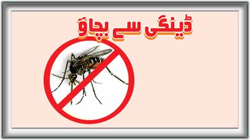 ڈینگی سے بچائو 