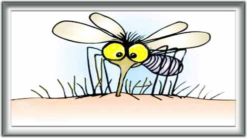 مچھروں کی جمالیاتی حس اور ہم