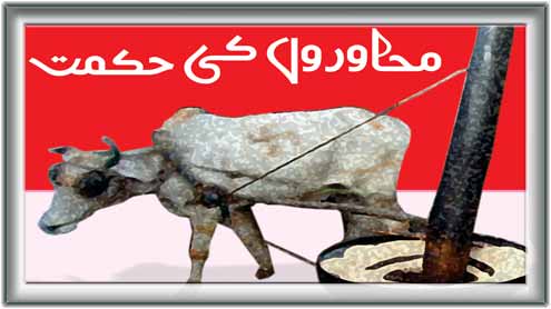محاوروں کی حکمت 