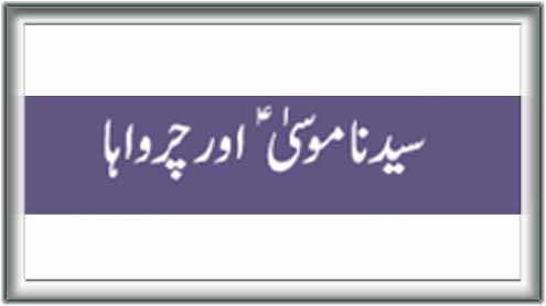 سیدنا موسیٰ  ؑ اور چرواہا 