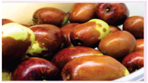 بیر سے بَیر نہ رکھیے