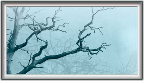 اسے کہنا دسمبر آ گیا ہے 