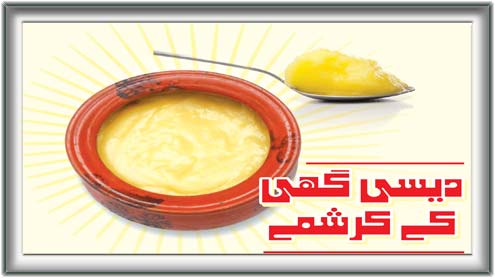 دیسی گھی  کے کرشمے