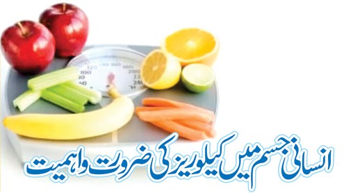 انسانی جسم میں کیلوریز کی ضرورت و اہمیت