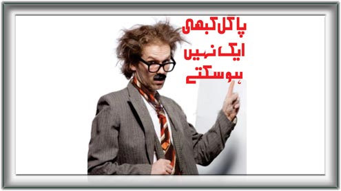 پاگل کبھی ایک نہیں ہو سکتے 