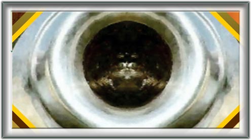 صفائی و پاکیزگی کی اہمیت 